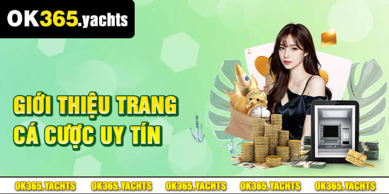 Thông tin chung về sân chơi đình đám OK365