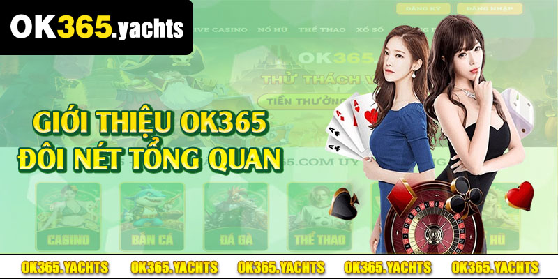 Giới thiệu OK365 đôi nét tổng quan 